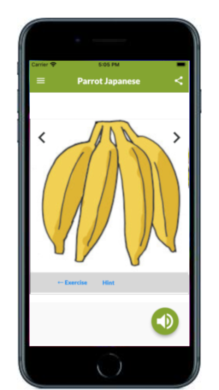 Speak Japanese Like Parrot Pay
