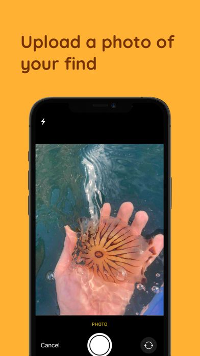 Jelly Spotter by GoJelly Screenshot