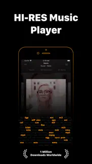 flacbox: hi-res music player iphone screenshot 1