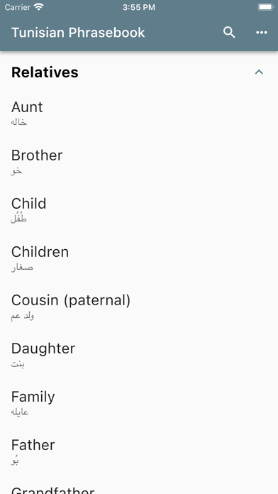Tunisian Phrasebook Screenshot