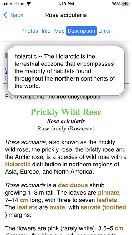 Alaska Wildflowers Interior screenshot-6