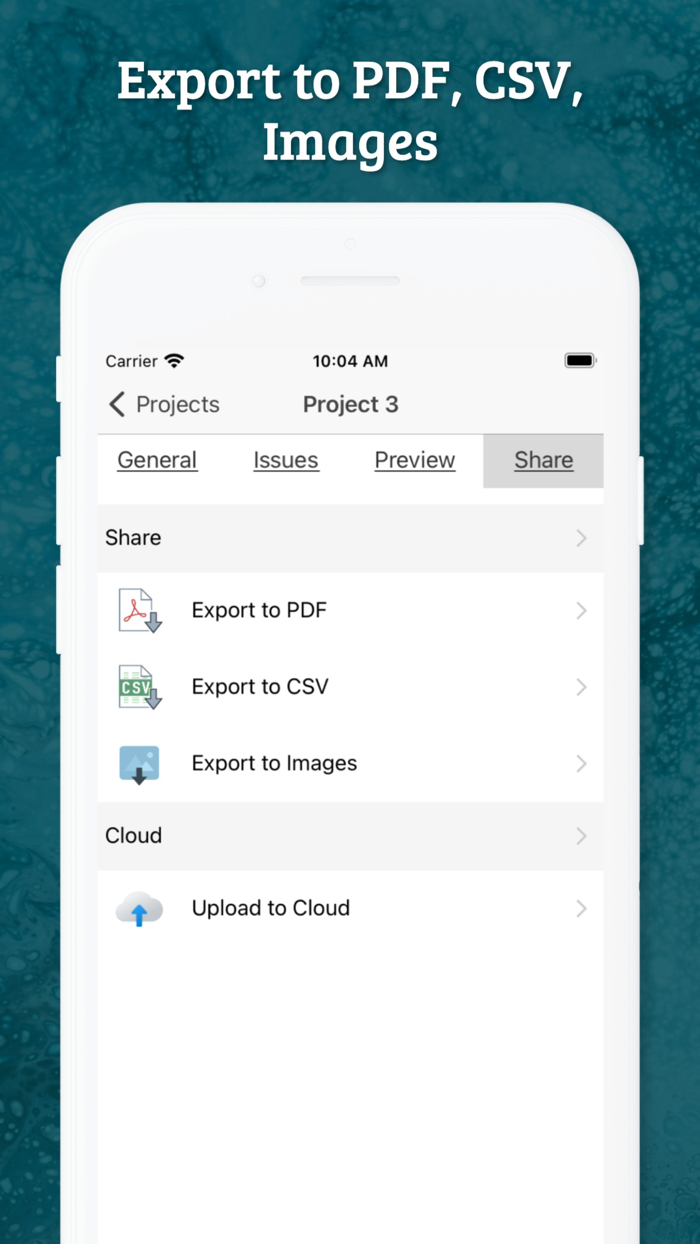 Site Audit - Punch Snag Lists