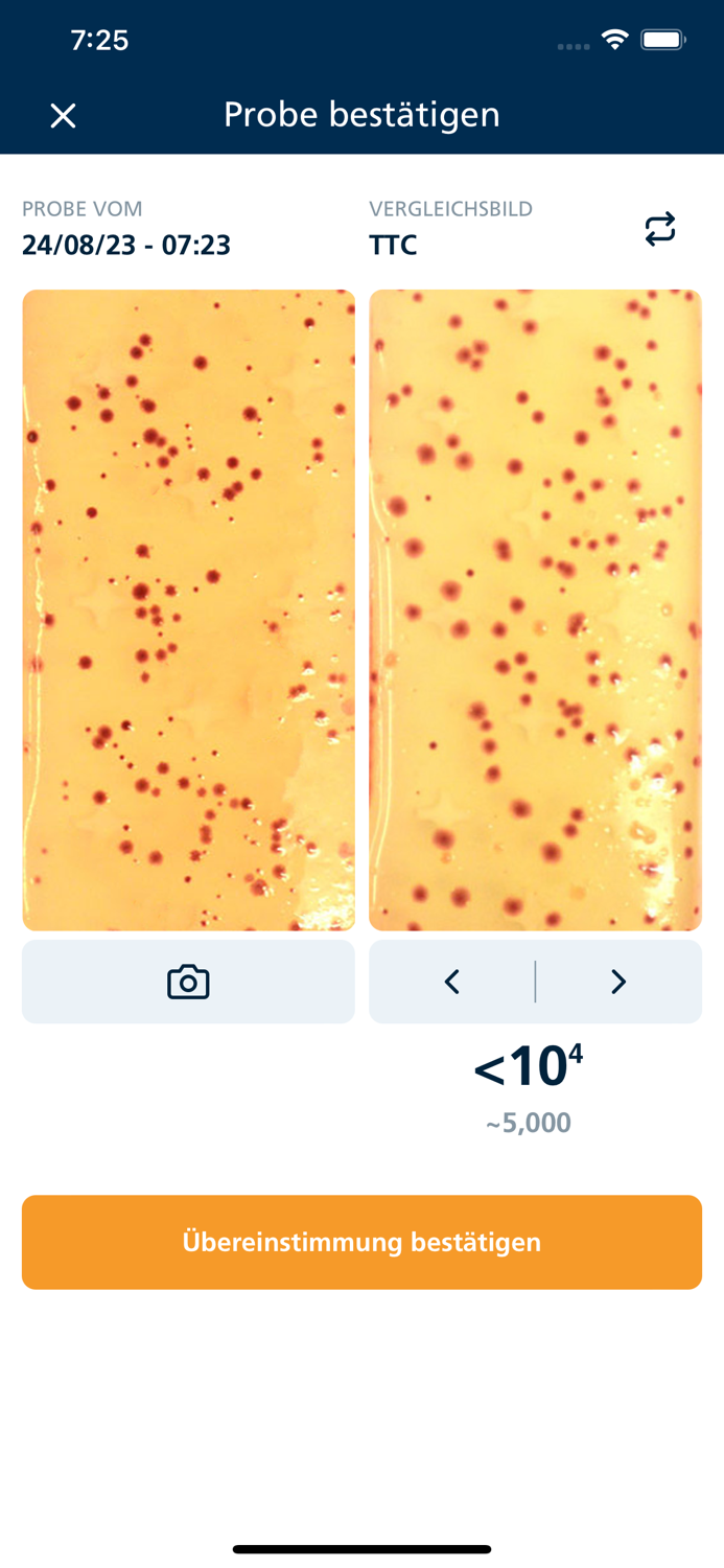 Dipslide Comparator 2
