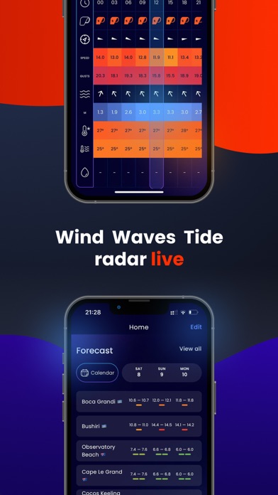 Blowy: Wave KiteSurf Report Screenshot
