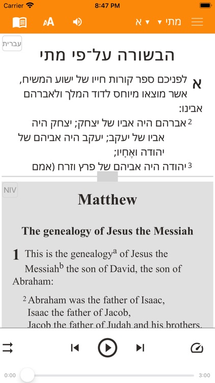 Hebrew New Testament Bible