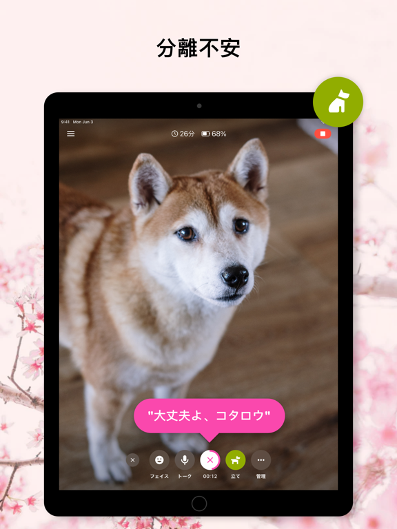 Barkio: 犬用お留守番カメラのおすすめ画像6