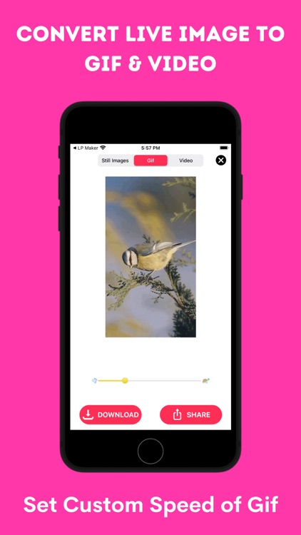 Live Photo Converter * screenshot-3