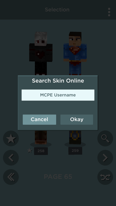 skins for Minecraft AR Screenshot