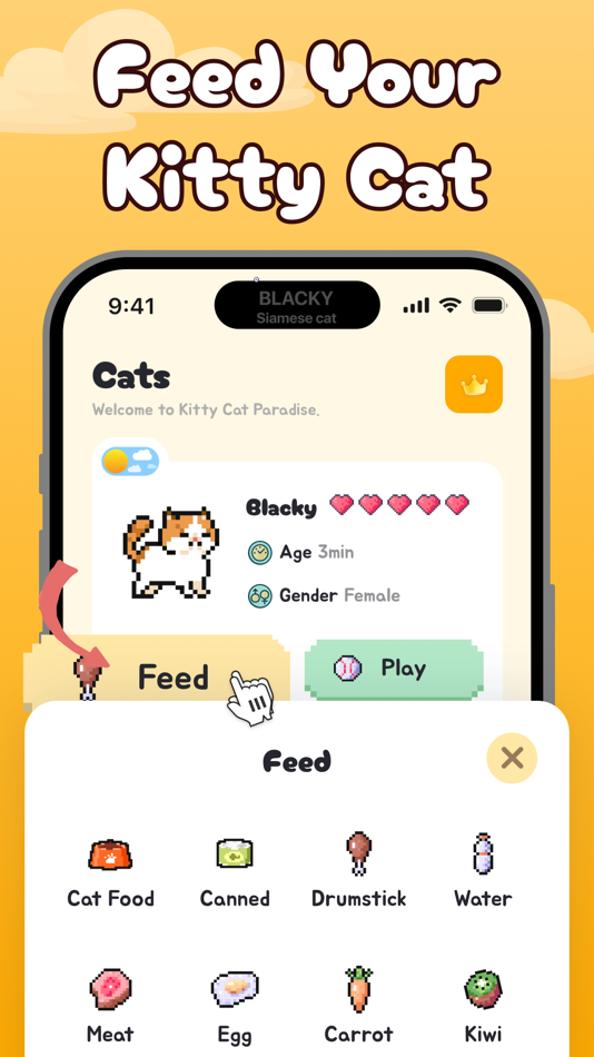 #2. Dynamic Island Pets: Meow (iOS) By: Lubna Manzoor