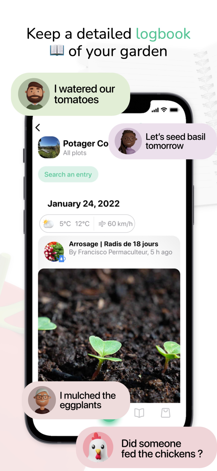 Tomate and Basilic- Permaculture