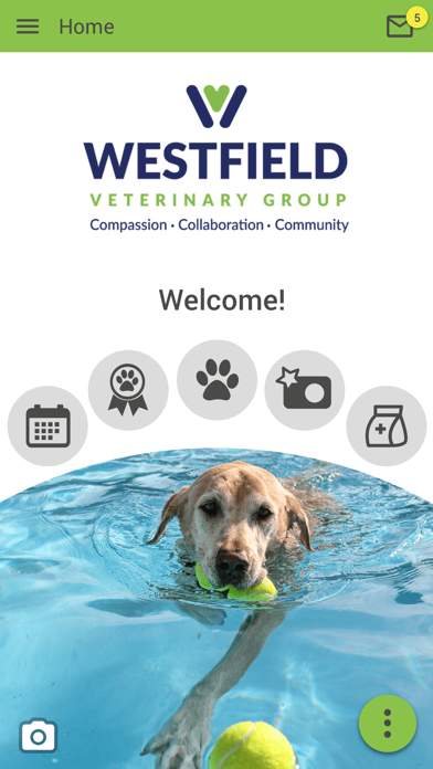 WestfieldVet Screenshot