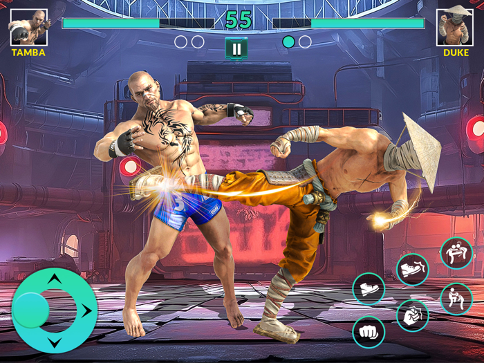 Karate Fighter Kungfu Games