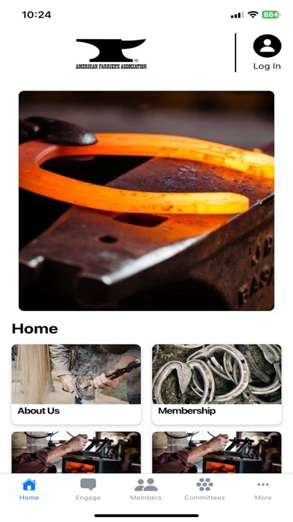 American Farrier’s Association