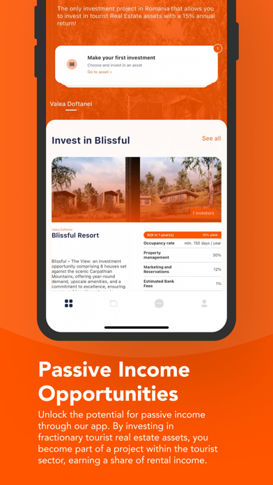 Blissful Invest – Real Estate Screenshot