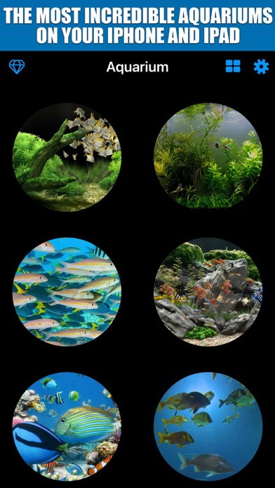 Screenshot #1 pour Aquarium TV Screen