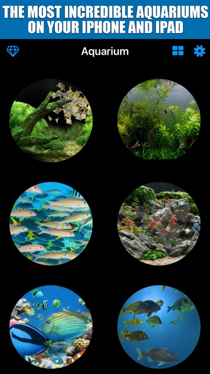 Aquarium TV Screen