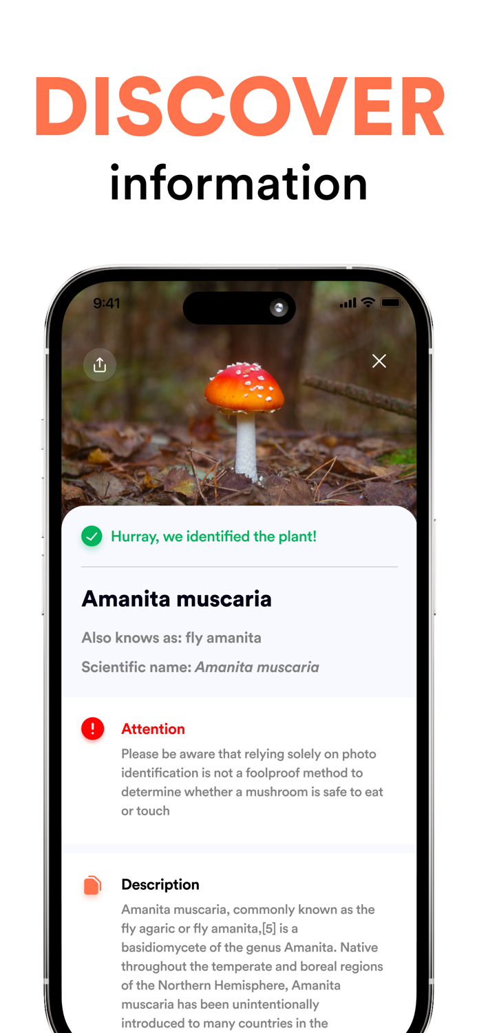 Mushroom ID AI Identification