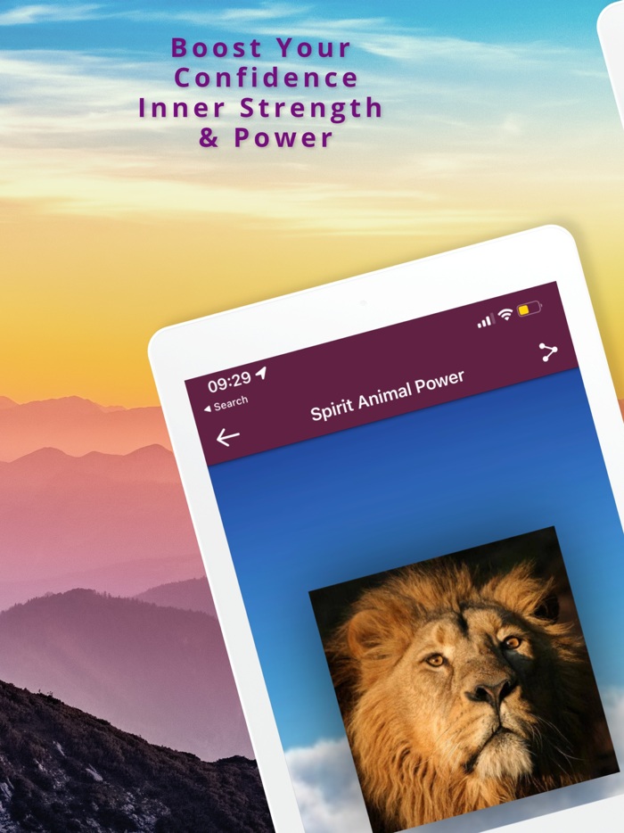 Spirit Animal Power