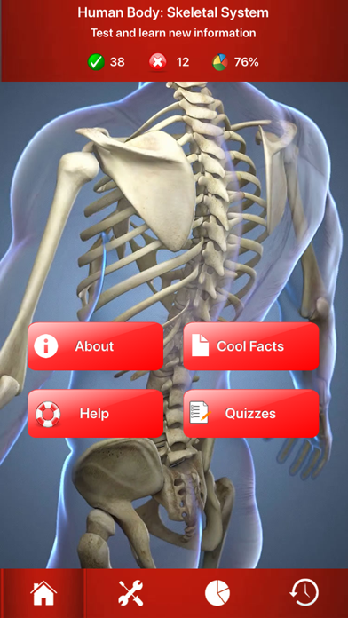 Human Skeletal System Trivia Screenshot