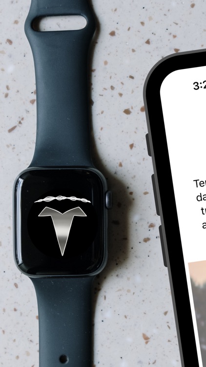 Teri - Watch App for Tesla screenshot-0