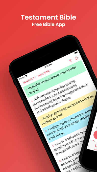 Testament Bible Screenshot