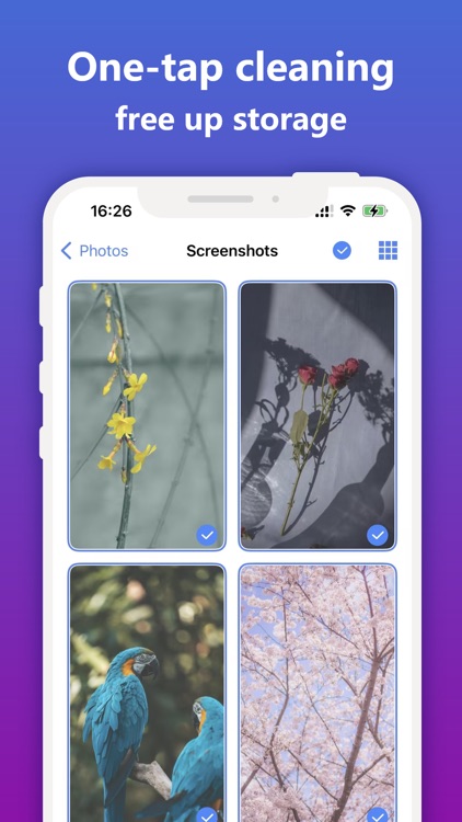 Gallery Cleaner - Master