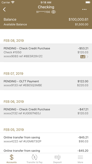 The Piedmont Bank Screenshot