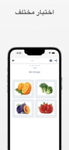 تعلم الالماني - Deutsch Lernen screenshot #6 for iPhone
