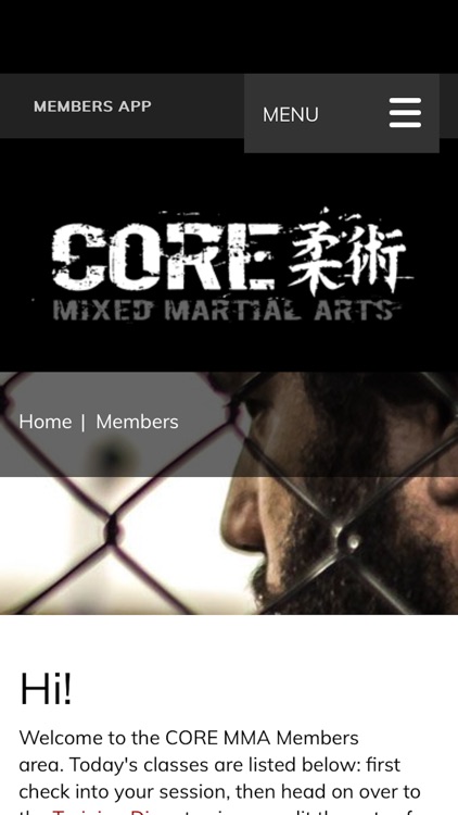 CORE MMA