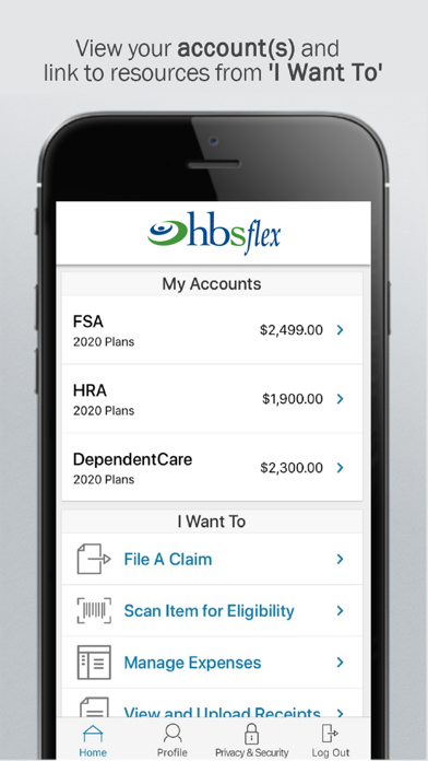 HBS Flex Screenshot