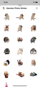 Hamster Photo Sticker screenshot #1 for iPhone