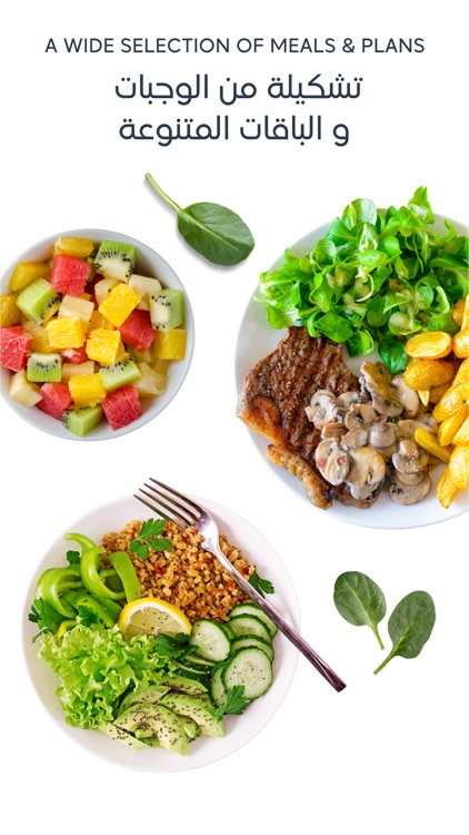 Octafood | أوكتافود