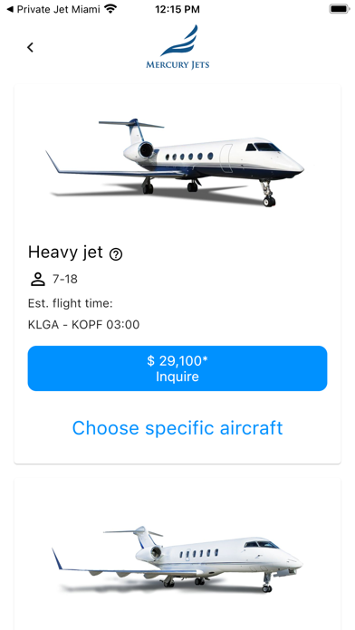Private Jet to New York Screenshot