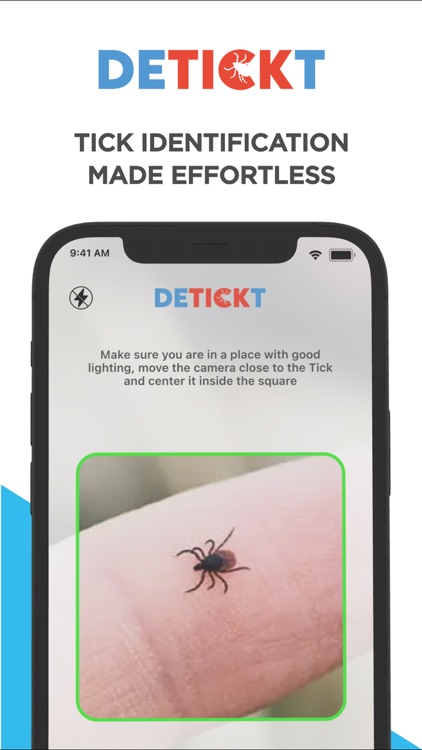 DETICKT IT