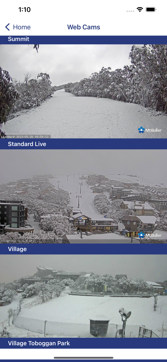 Mt Buller Live