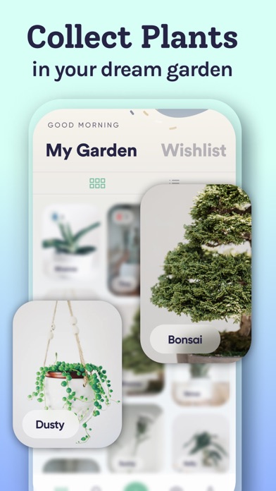 Plant Identifier, Care: Planty Screenshot