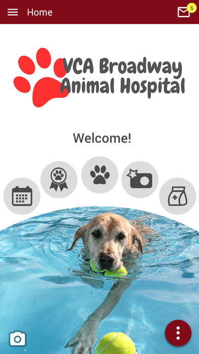 VCA Broadway Animal Hospital Screenshot