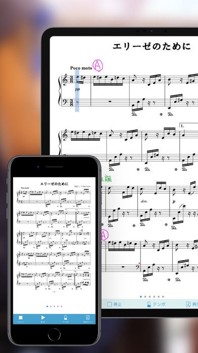 Fairy - Musical score app Screenshot