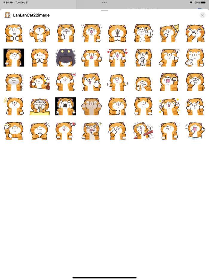 白爛貓 22 無字版