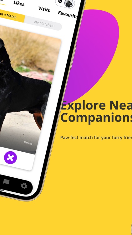 Pawsitive-Pet Dating Matches