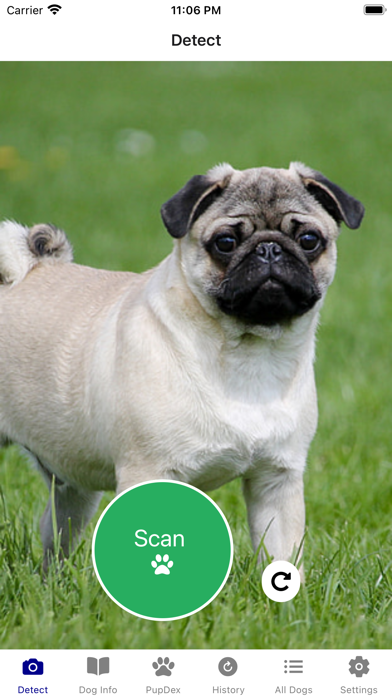 Dog Breed Identifier - PupDex Screenshot