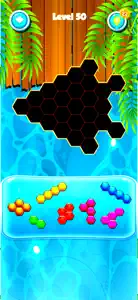 Hexa Jigsaw - Puzzles Game screenshot #5 for iPhone