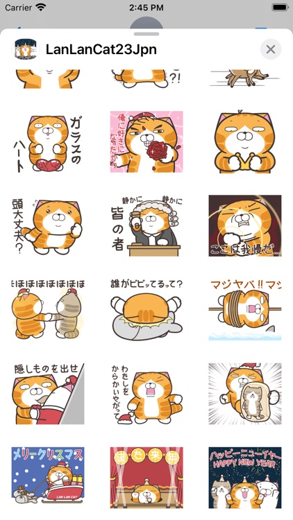 ランラン猫 23 (JPN)