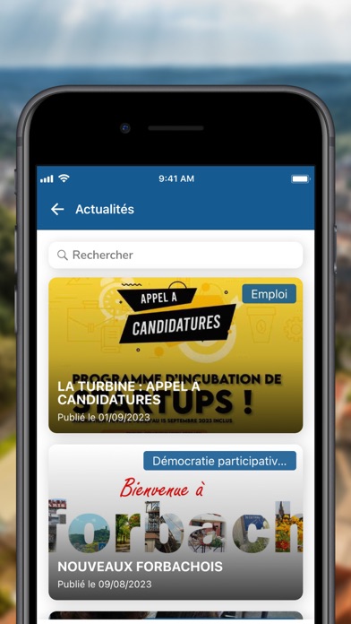 Ville de Forbach Screenshot