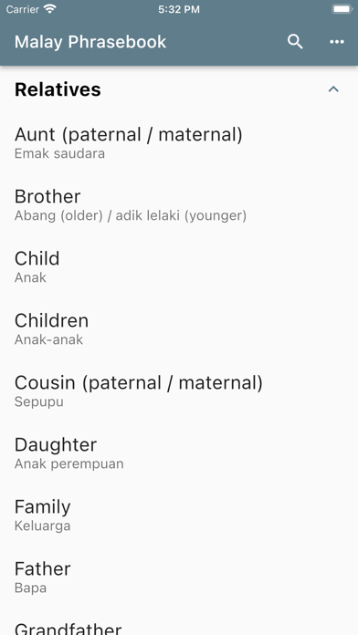 Screenshot 4 of Malay Basic Phrases App