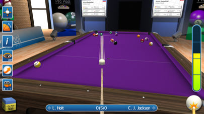 Pro Pool 2024 Screenshot