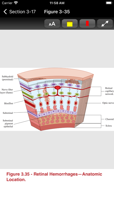 Atlas of Emergency Medicine 5E Screenshot
