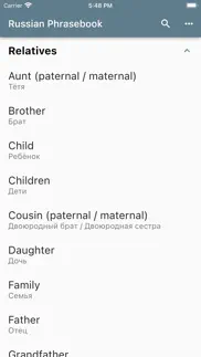 russian phrasebook iphone screenshot 4