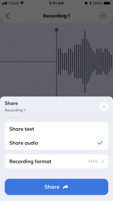 Voice Recorder: Audio Memos Screenshot