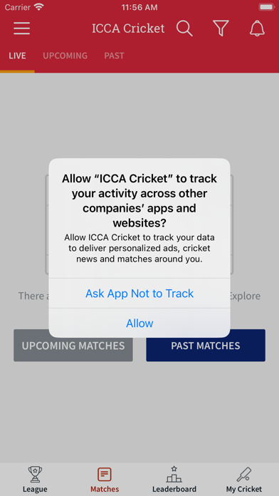 ICCA Cricket Screenshot